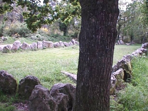 先史時代の列石遺跡(ﾌﾞﾙﾀｰﾆｭ､ﾌﾗﾝｽ)2000年頃撮影